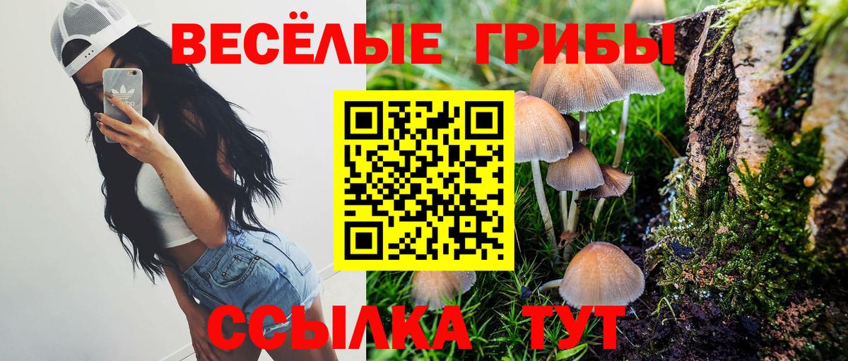 Псилоцибиновые грибы Magic Shrooms Алейск
