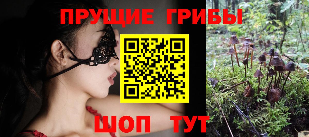Псилоцибиновые грибы Cubensis  Галлюциногенные грибы Psilocybine cubensis  Вход с VPN  Алейск 